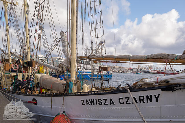 Zawisza Czarny